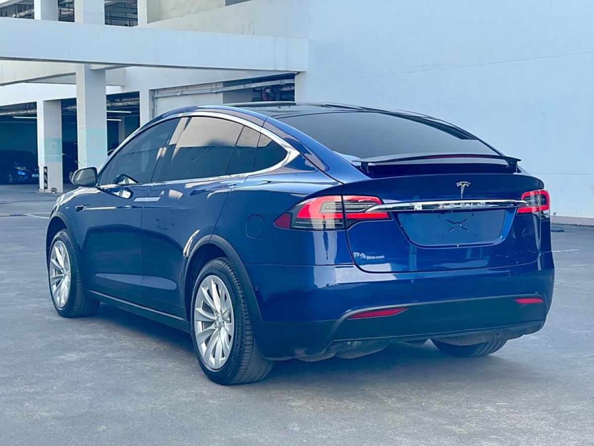 特斯拉 Model X  2020款 長(zhǎng)續(xù)航升級(jí)版圖片