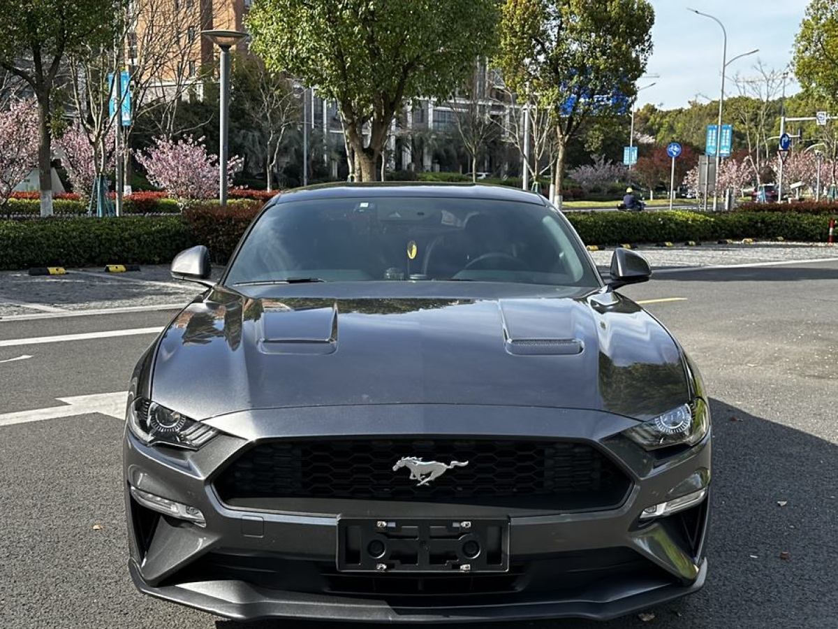 福特 Mustang  2018款 2.3L EcoBoost圖片