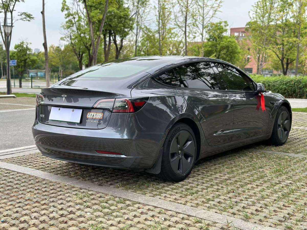 特斯拉 Model 3  2021款 标准续航后驱版图片