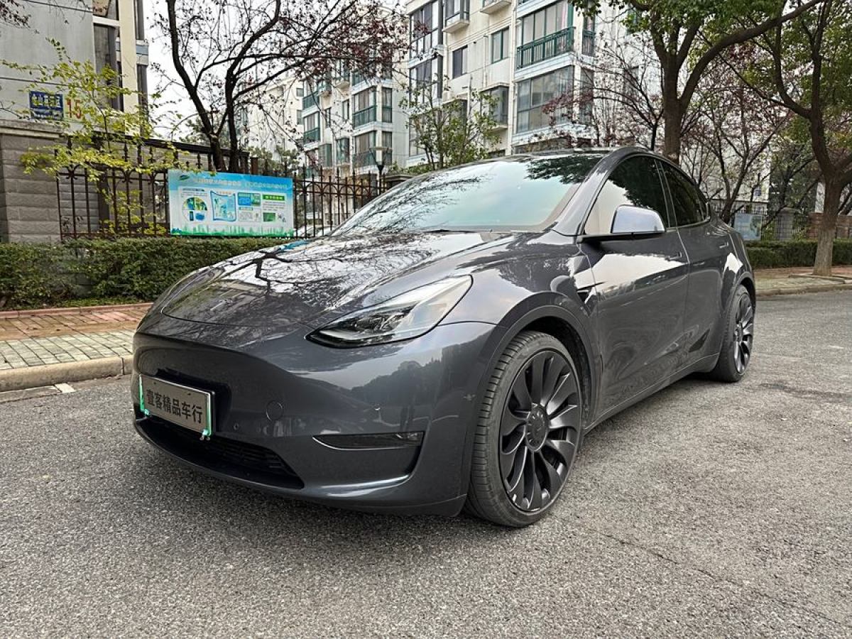 特斯拉 Model 3  2022款 Performance高性能全輪驅(qū)動版圖片