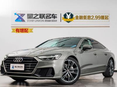 2024年4月 奧迪 奧迪A7  45 TFSI 臻選型圖片