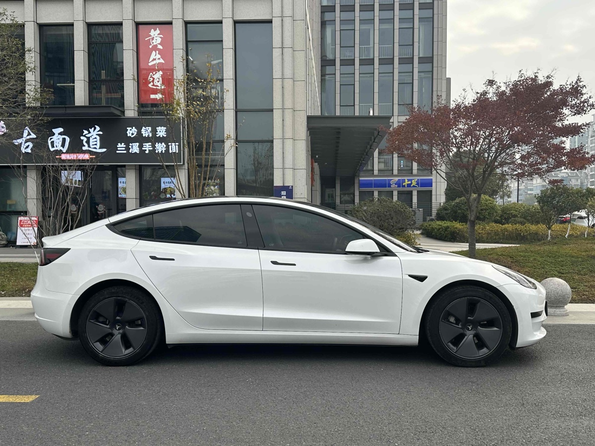 特斯拉 Model 3  2021款 標(biāo)準(zhǔn)續(xù)航后驅(qū)升級版 3D6圖片