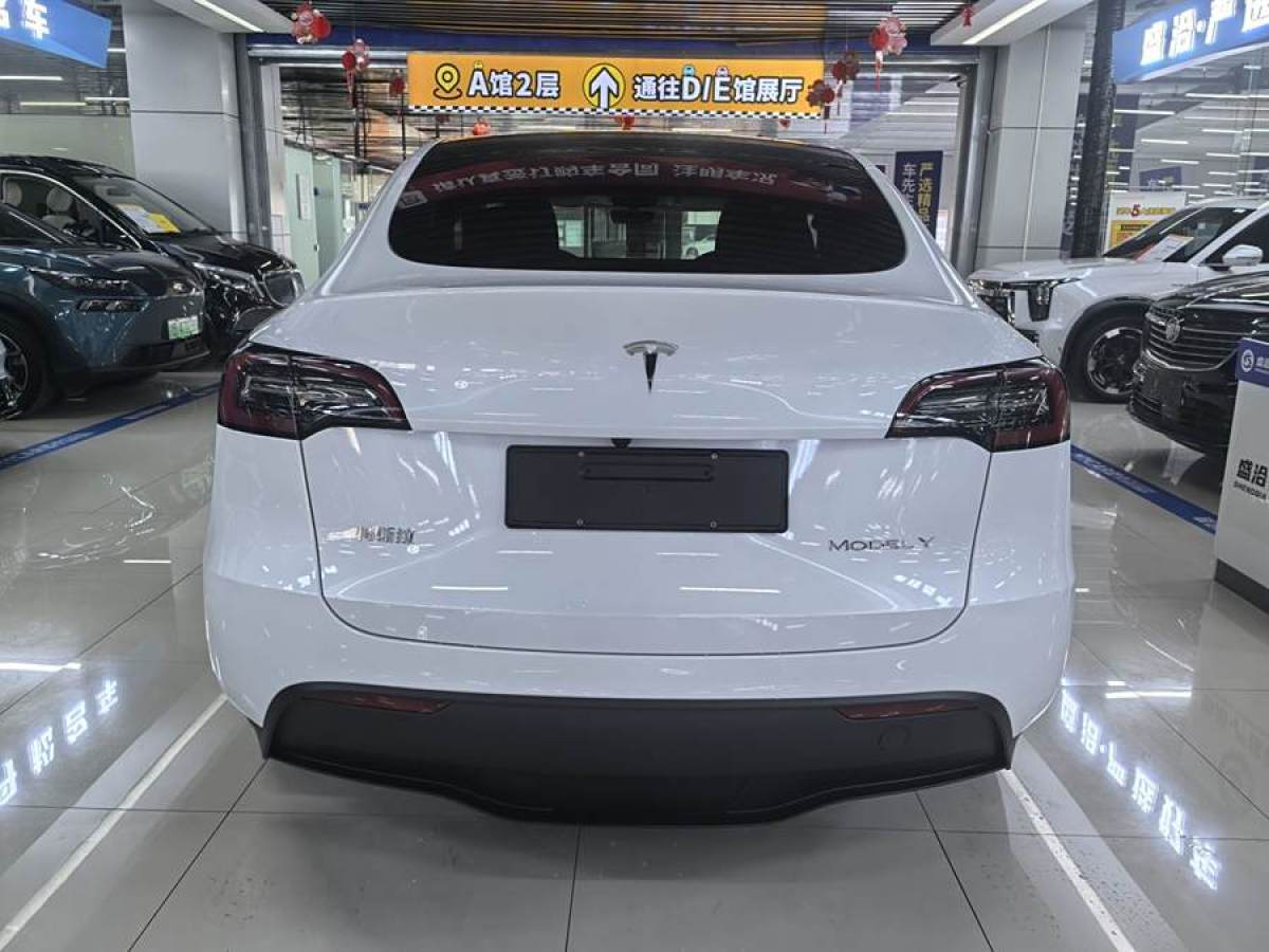 特斯拉 Model 3  2020款 改款 長續(xù)航后輪驅(qū)動版圖片