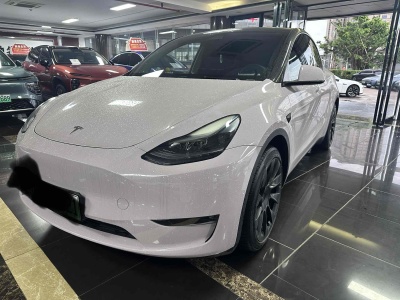 2021年11月 特斯拉 Model Y 標(biāo)準(zhǔn)續(xù)航后驅(qū)版圖片