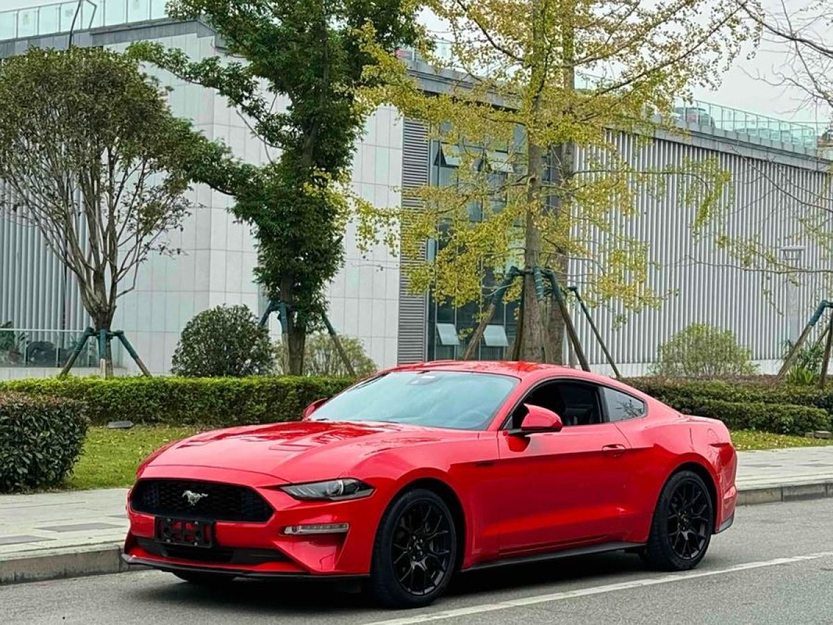 福特 Mustang  2019款 2.3L EcoBoost 性能加強(qiáng)版圖片