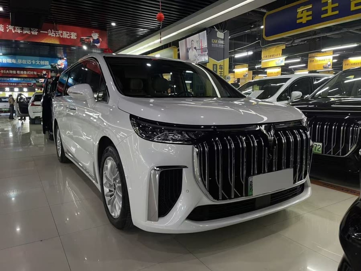 嵐圖 夢想家  2024款 PHEV 超長續(xù)航尊貴版圖片