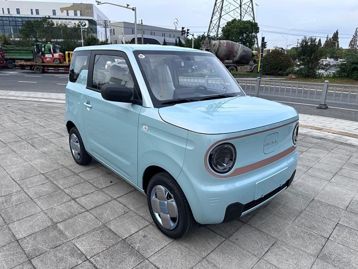 2024年10月吉利 熊貓mini  2023款 200km 耐力熊