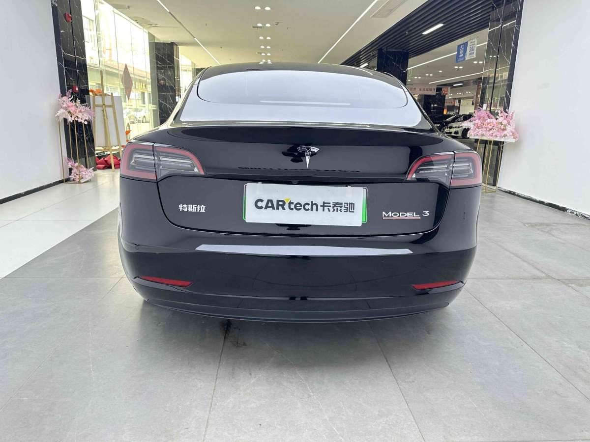 特斯拉 Model 3  2022款 后輪驅(qū)動(dòng)版圖片