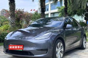 Model Y 特斯拉 Performance高性能全輪驅(qū)動版