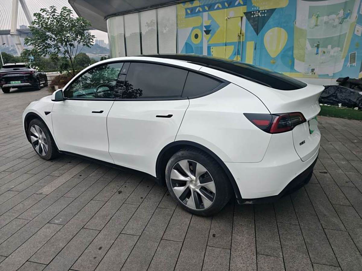 特斯拉 Model Y  2021款 改款 長續(xù)航全輪驅(qū)動版圖片