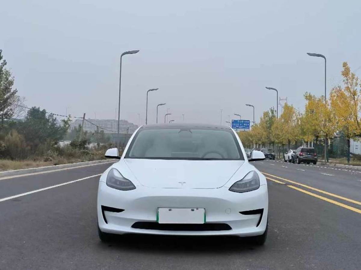 特斯拉 Model 3  2019款 標準續(xù)航后驅升級版圖片