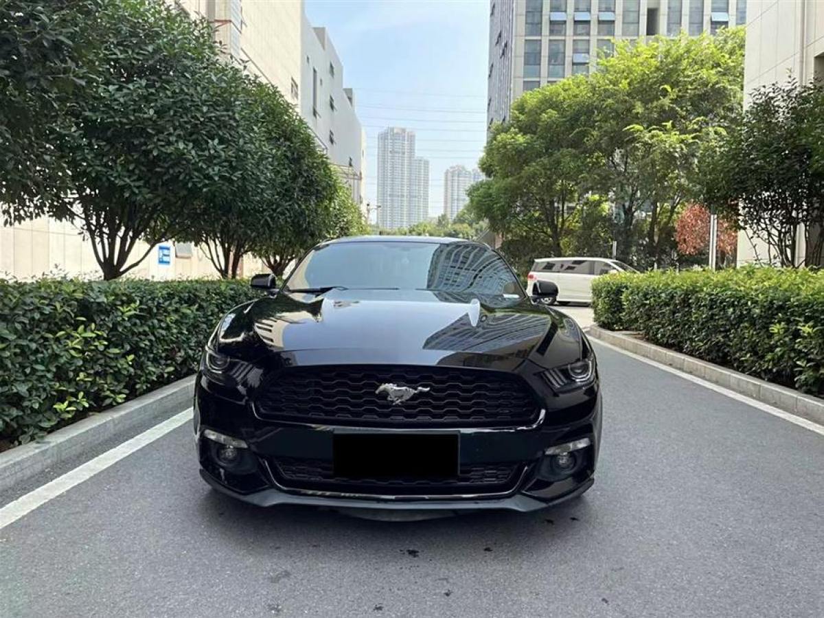 福特 Mustang  2017款 2.3T 性能版圖片