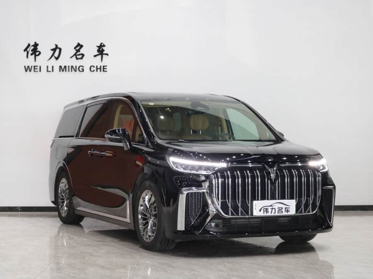 嵐圖 夢想家  2024款 PHEV 超長續(xù)航旗艦版圖片