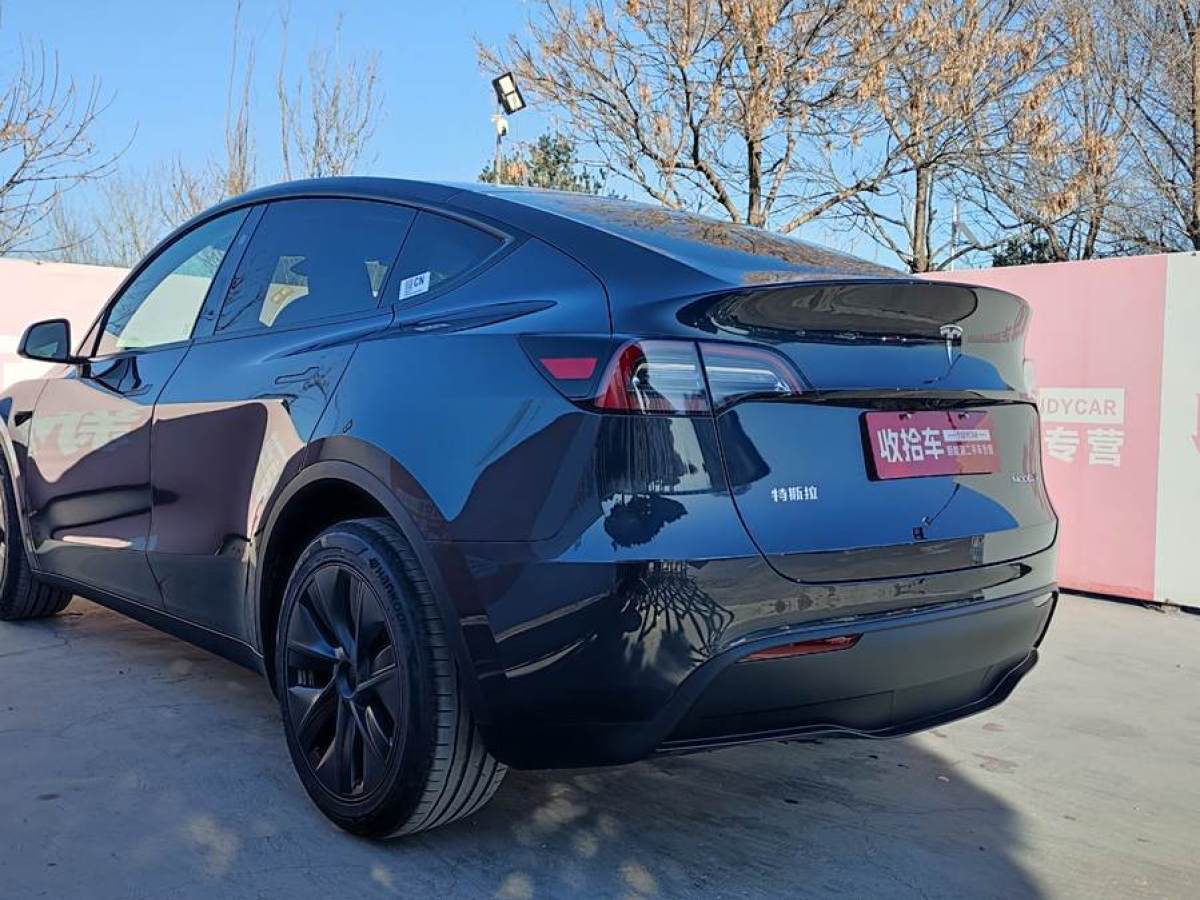 特斯拉 Model Y  2024款 長續(xù)航全輪驅(qū)動版圖片