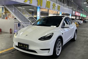 Model 3 特斯拉 改款 长续航后轮驱动版