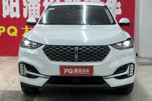 VV6 WEY 2.0T 兩驅智護+