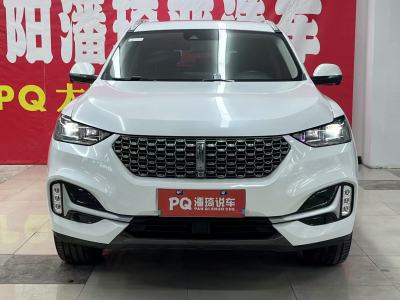 2021年2月 WEY VV6 2.0T 兩驅(qū)智護(hù)+圖片