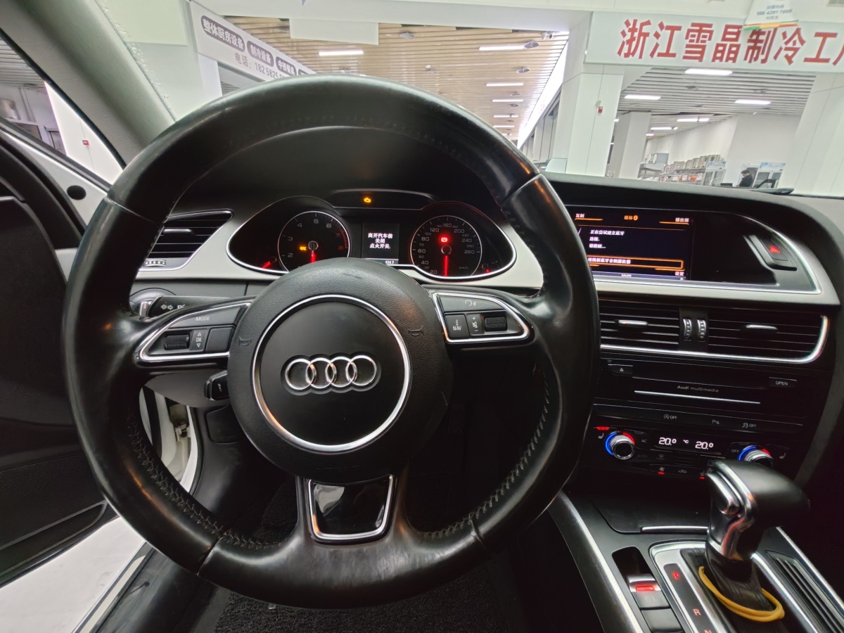 奧迪 奧迪A4  2013款 40 TFSI allroad quattro 豪華型圖片