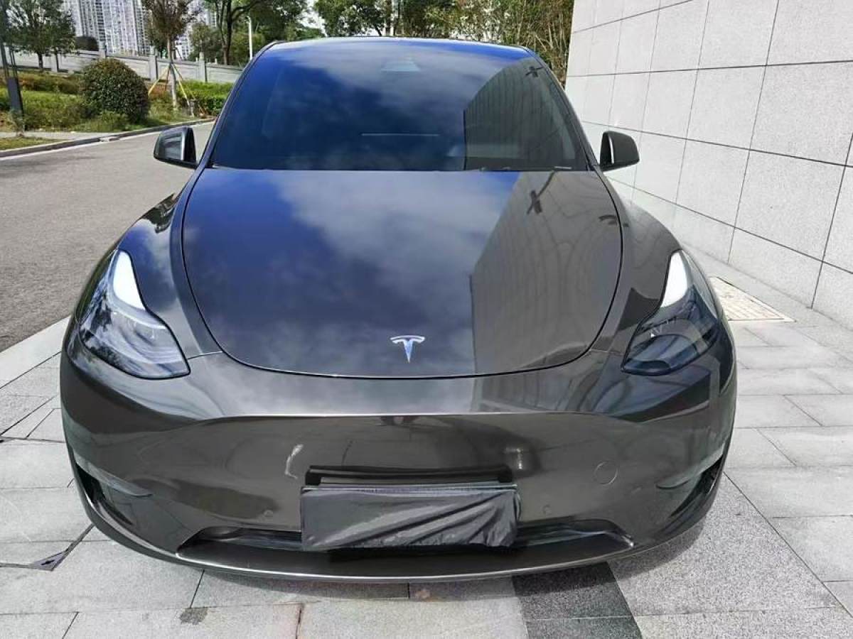 特斯拉 Model Y  2021款 改款 長續(xù)航全輪驅(qū)動版圖片