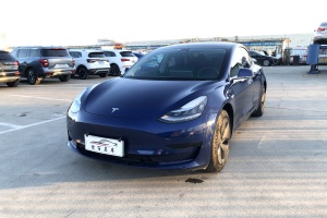 Model 3 特斯拉 標準續(xù)航后驅升級版