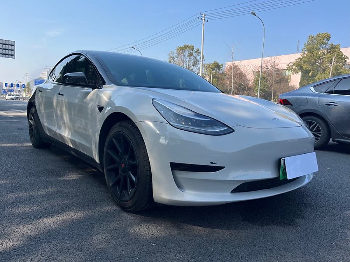 特斯拉 Model 3  2020款 改款 標(biāo)準(zhǔn)續(xù)航后驅(qū)升級(jí)版圖片