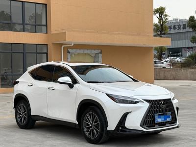 2022年6月 雷克薩斯 NX 260 前驅(qū) 創(chuàng)悅版圖片