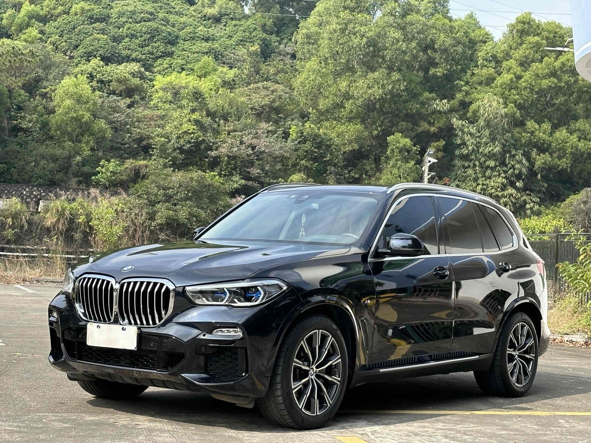 寶馬 寶馬X5  2020款 xDrive40i M運(yùn)動(dòng)套裝圖片