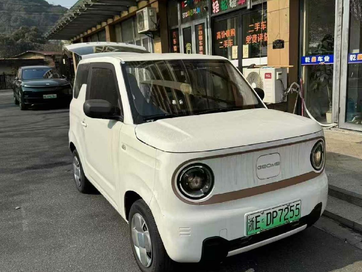 吉利 熊貓mini  2024款 200km 熊貓騎士圖片