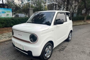 熊猫mini 吉利 200km 耐力熊