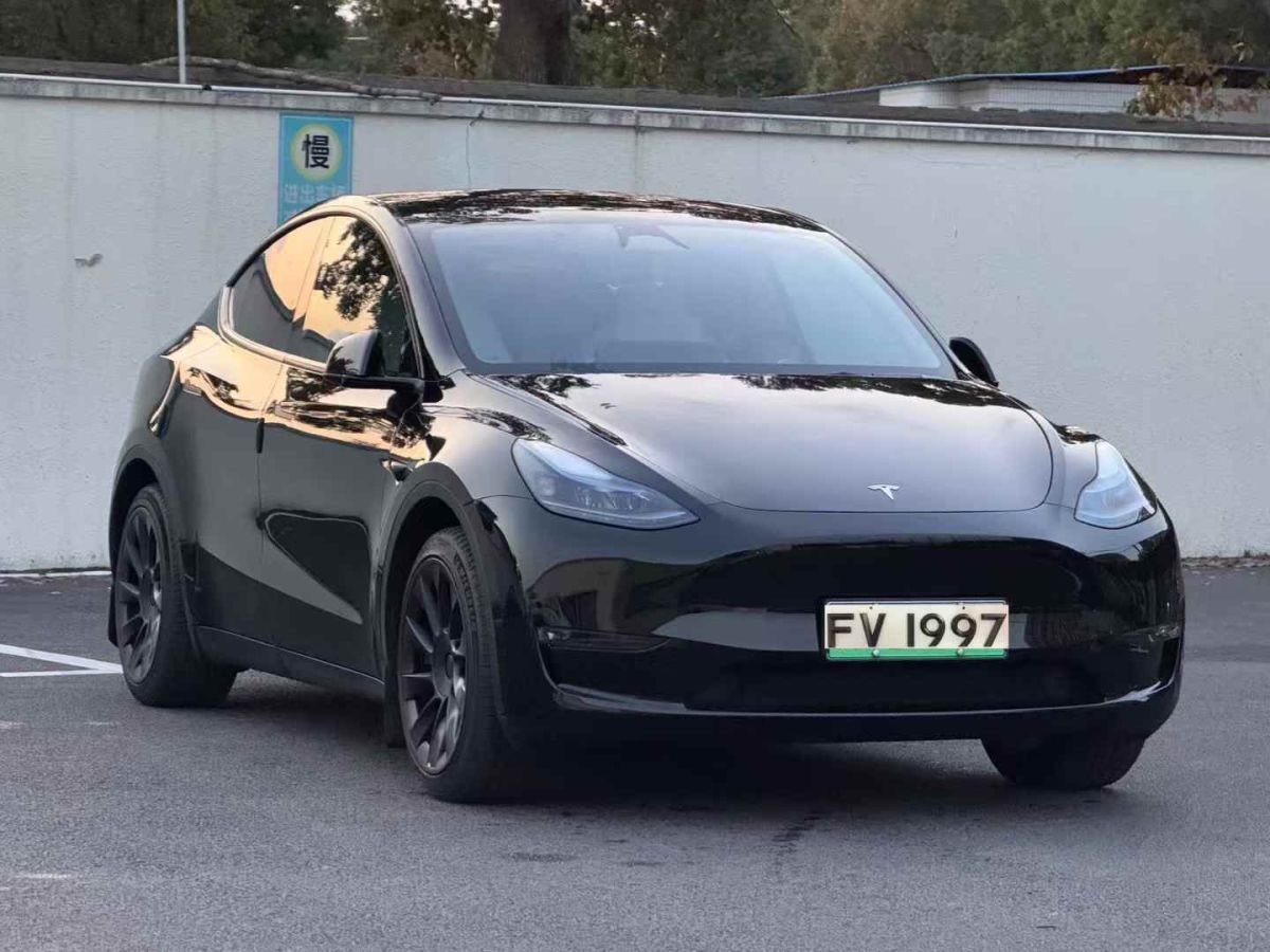 2024年4月特斯拉 Model Y  2024款 Performance高性能版