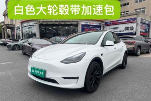 Model Y 特斯拉 改款 長續(xù)航全輪驅(qū)動版