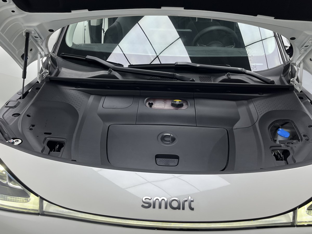 smart smart精靈#1  2022款 Pro+版圖片