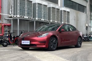 Model Y 特斯拉 标准续航后驱升级版 3D6