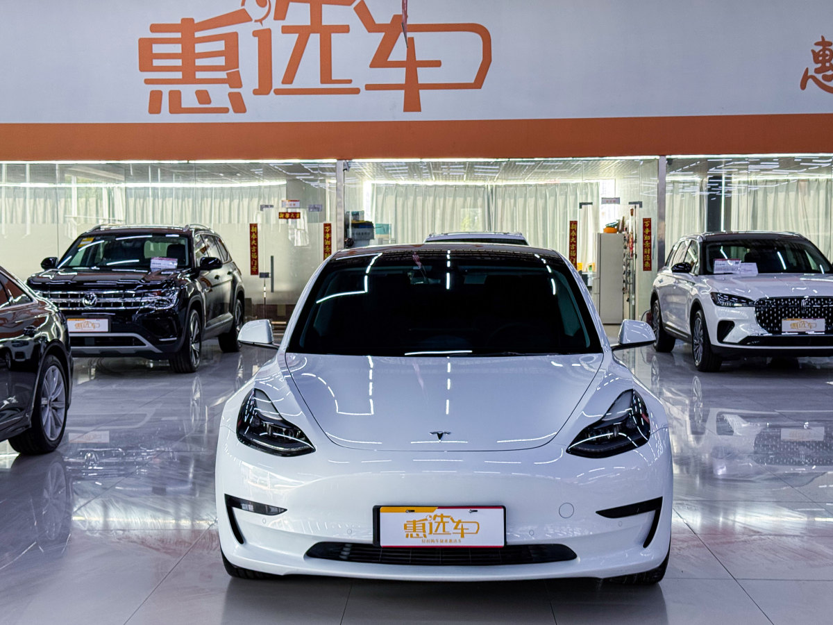 特斯拉 Model 3  2021款 標(biāo)準(zhǔn)續(xù)航后驅(qū)升級版 3D6圖片