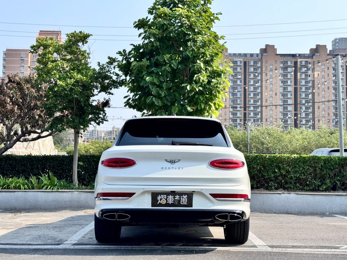 賓利 添越  2021款 4.0T V8圖片