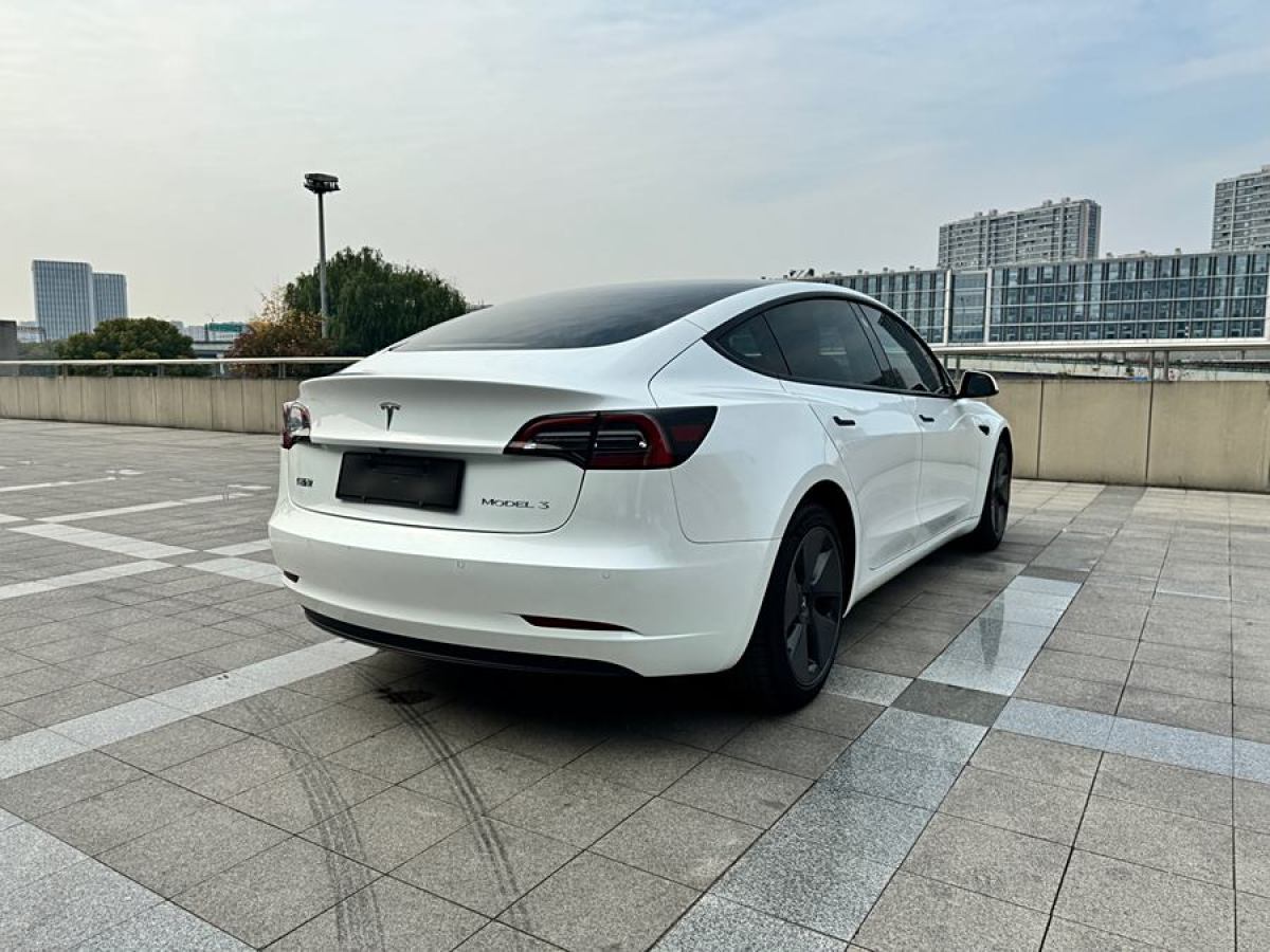 特斯拉 Model 3  2021款 改款 標(biāo)準(zhǔn)續(xù)航后驅(qū)升級版圖片