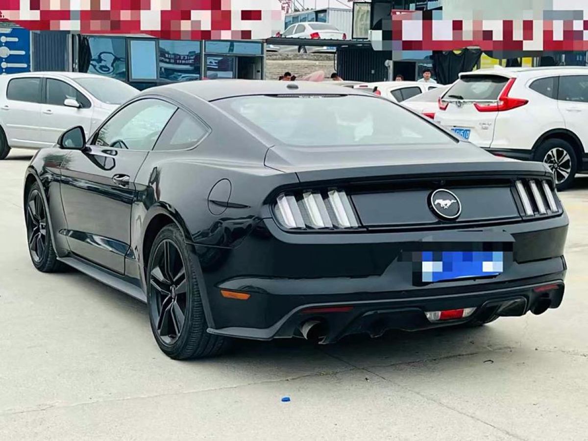 福特 Mustang  2015款 2.3T 性能版圖片