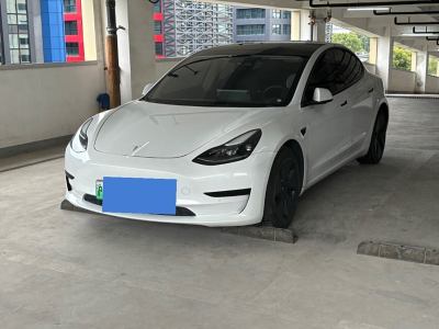 2020年4月 特斯拉 Model 3 標(biāo)準(zhǔn)續(xù)航后驅(qū)升級(jí)版圖片