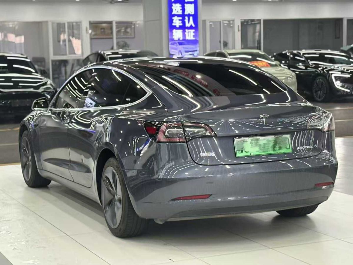 特斯拉 Model X  2020款 Performance 高性能版圖片