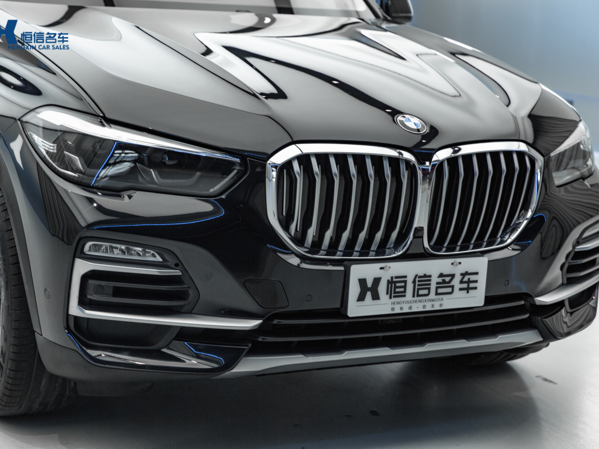 寶馬 寶馬X5  2021款 xDrive30i X設(shè)計(jì)套裝圖片