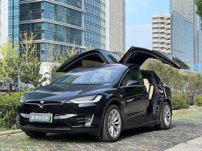 2019年10月 特斯拉 Model X 長(zhǎng)續(xù)航版圖片