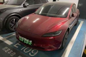 Model Y 特斯拉 Performance高性能版
