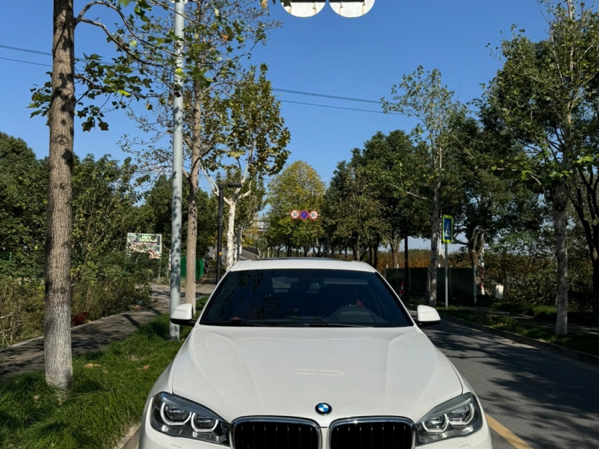 寶馬 寶馬X6  2017款 xDrive35i 領(lǐng)先型圖片