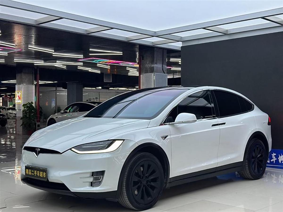 2019年3月特斯拉 Model X  2017款 Model X 100D 長續(xù)航版