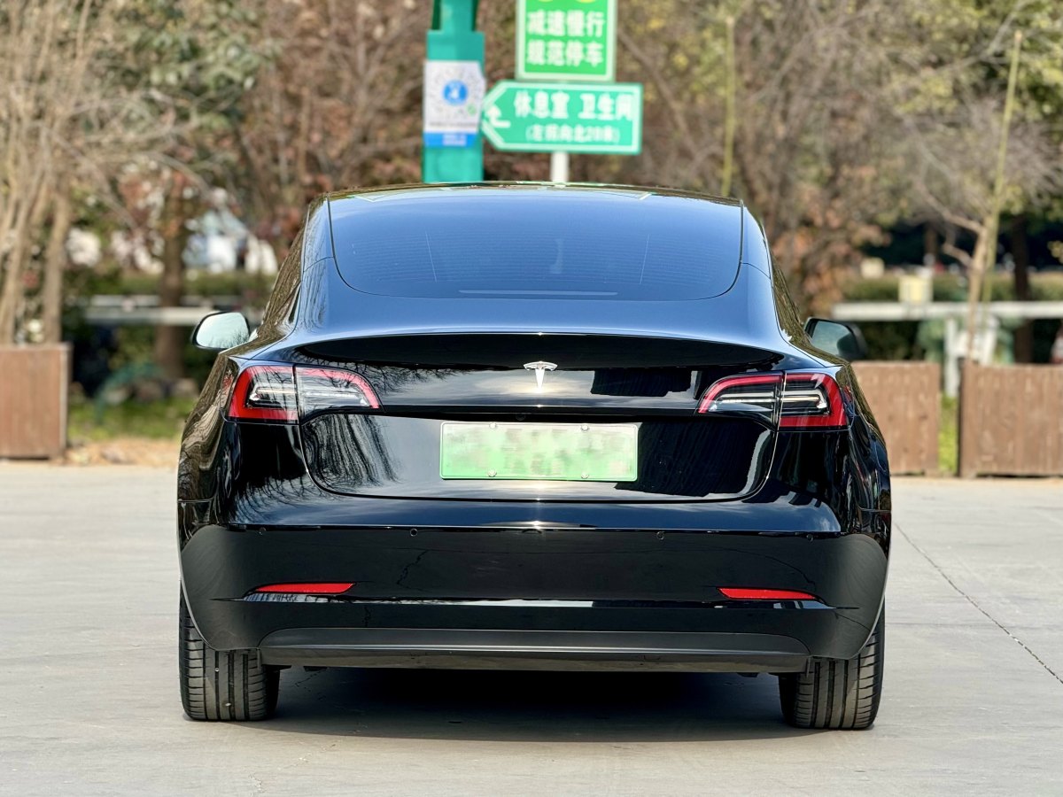 特斯拉 Model 3  2019款 標(biāo)準(zhǔn)續(xù)航后驅(qū)升級版圖片