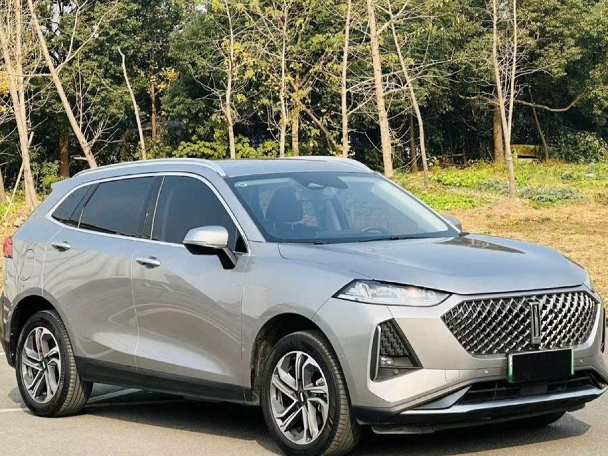 WEY 瑪奇朵新能源  2021款 1.5L DHT-PHEV大師版圖片