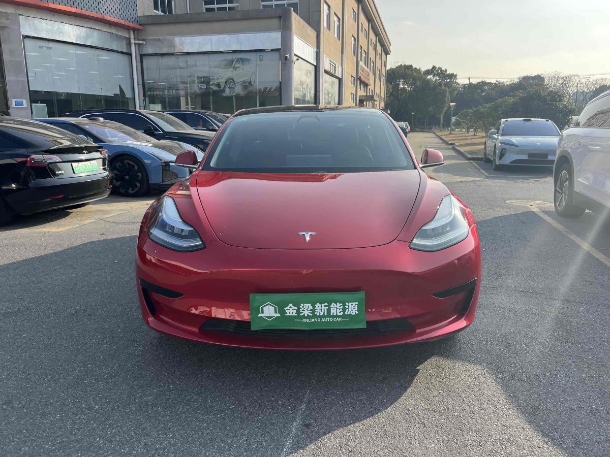 特斯拉 Model 3  2019款 標(biāo)準(zhǔn)續(xù)航后驅(qū)升級版圖片