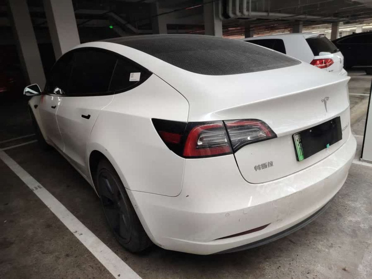 特斯拉 Model 3  2021款 改款 標準續(xù)航后驅(qū)升級版圖片