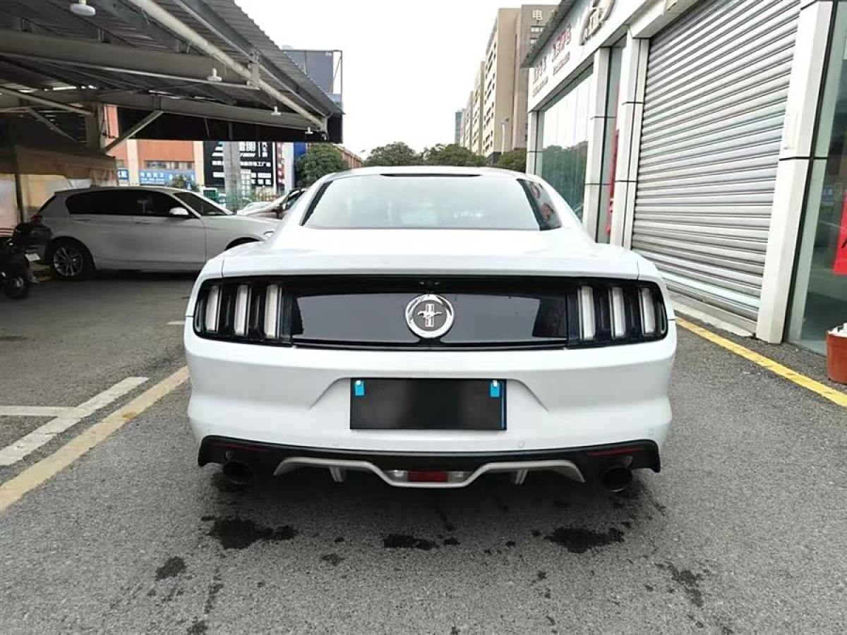 福特 Mustang  2017款 2.3T 性能版圖片