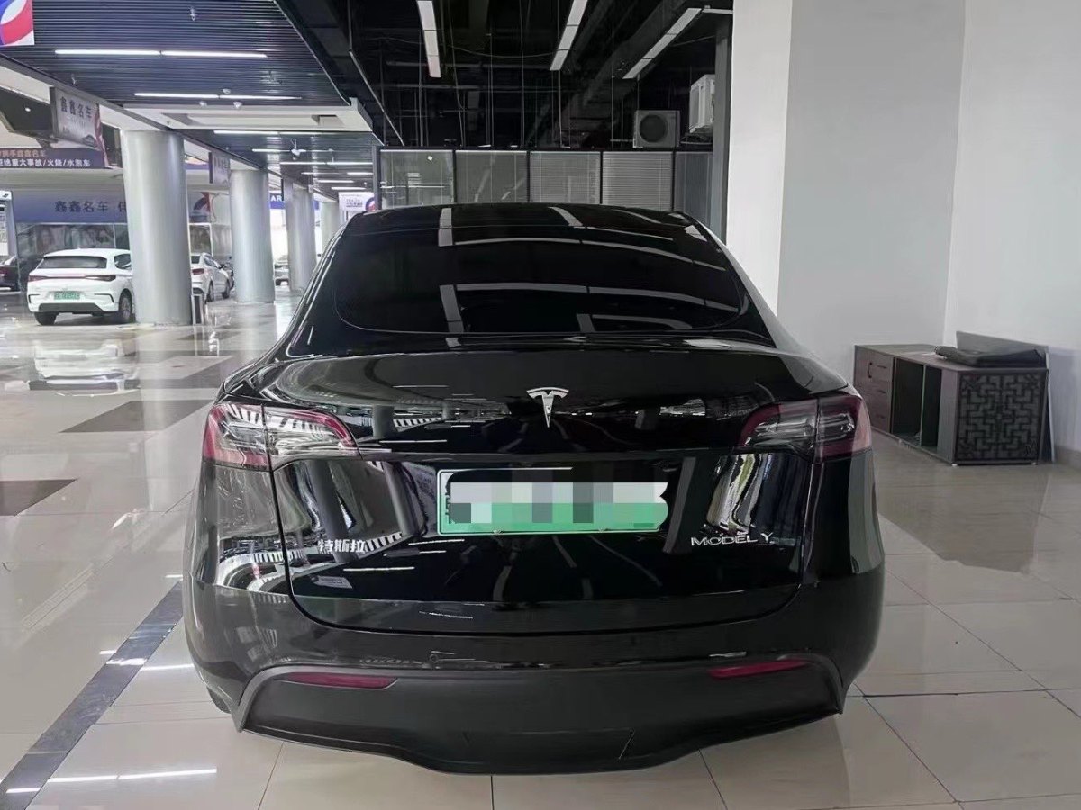 特斯拉 Model Y  2020款 改款 長續(xù)航后輪驅動版圖片